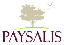 Paysalis